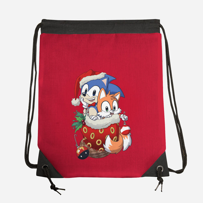Stocking Stuffer Hedgehog-none drawstring bag-DoOomcat