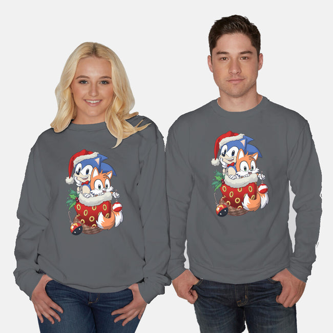 Stocking Stuffer Hedgehog-unisex crew neck sweatshirt-DoOomcat