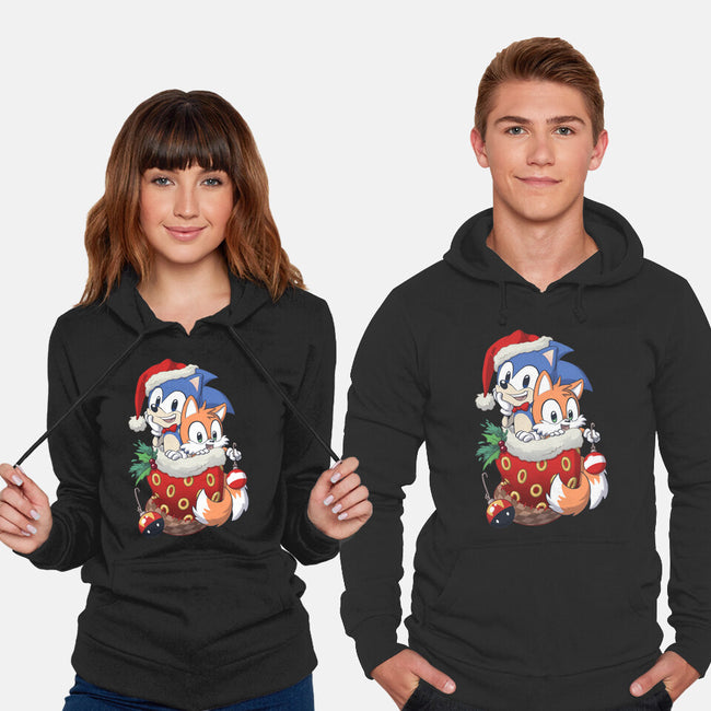 Stocking Stuffer Hedgehog-unisex pullover sweatshirt-DoOomcat