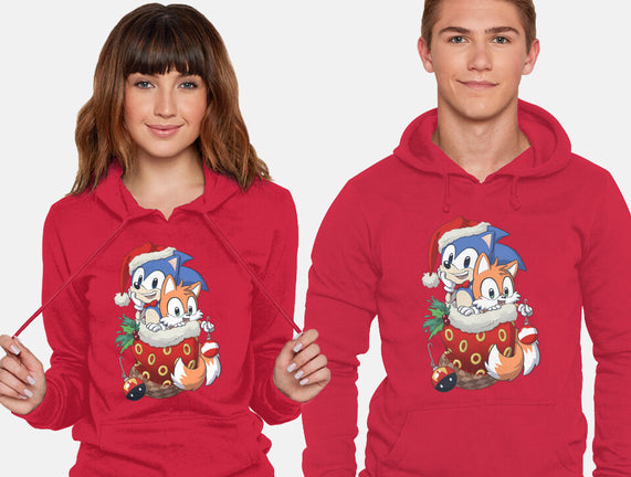 Stocking Stuffer Hedgehog