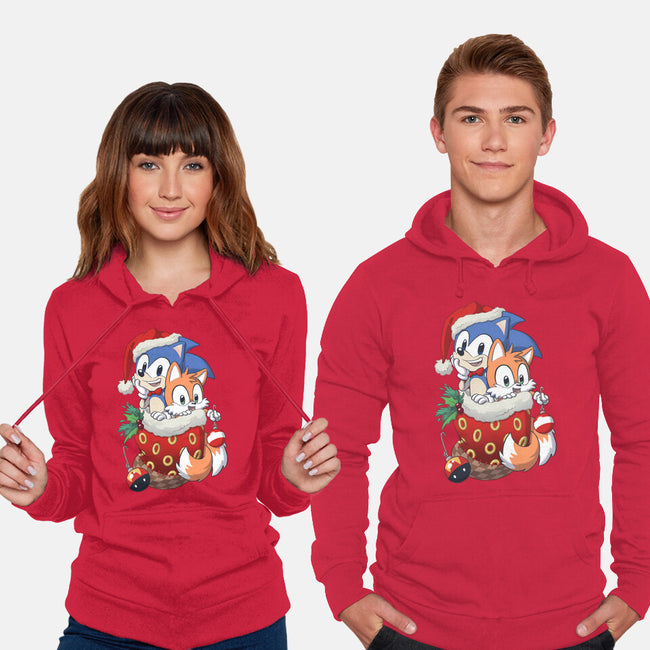 Stocking Stuffer Hedgehog-unisex pullover sweatshirt-DoOomcat