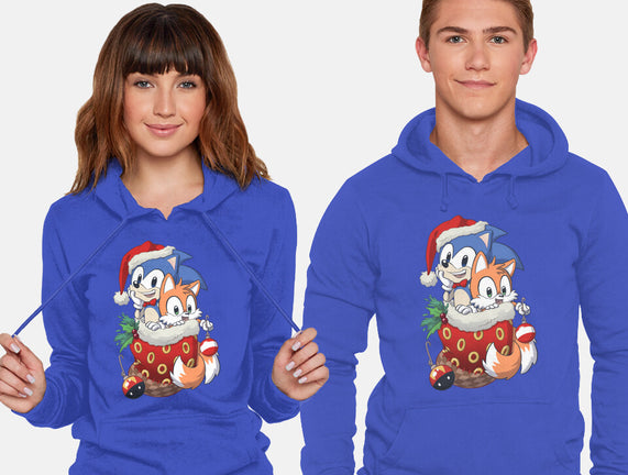 Stocking Stuffer Hedgehog
