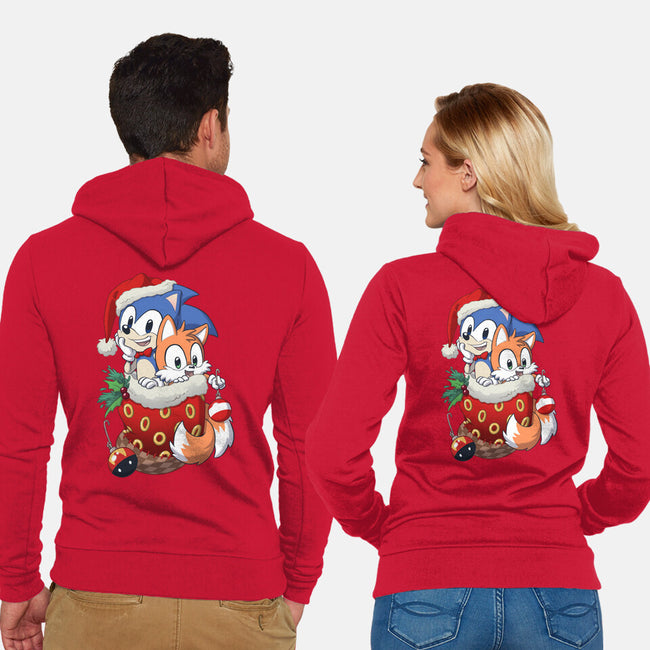 Stocking Stuffer Hedgehog-unisex zip-up sweatshirt-DoOomcat
