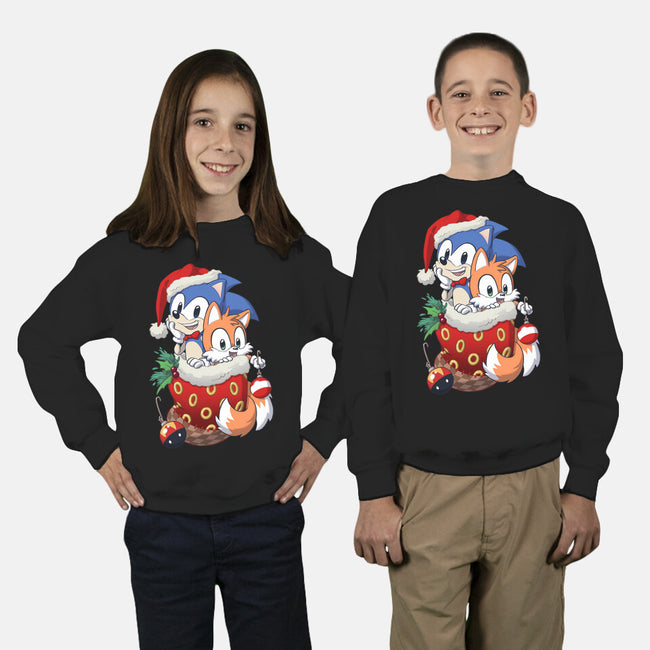 Stocking Stuffer Hedgehog-youth crew neck sweatshirt-DoOomcat