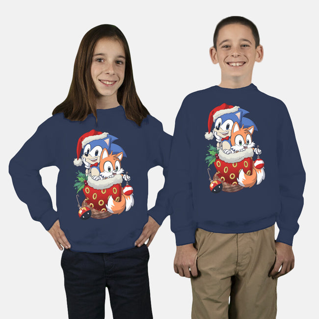 Stocking Stuffer Hedgehog-youth crew neck sweatshirt-DoOomcat