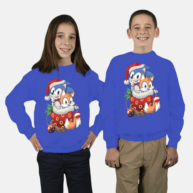 Stocking Stuffer Hedgehog-youth crew neck sweatshirt-DoOomcat