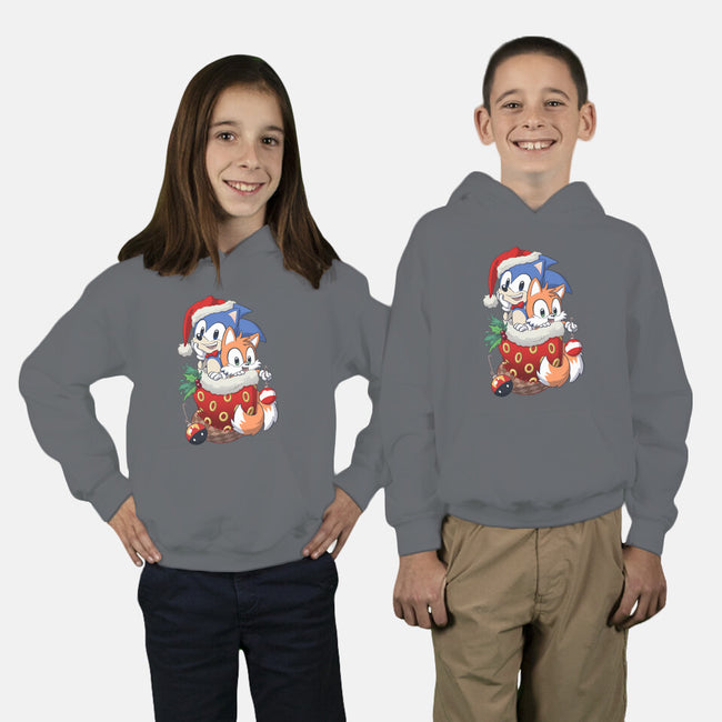 Stocking Stuffer Hedgehog-youth pullover sweatshirt-DoOomcat