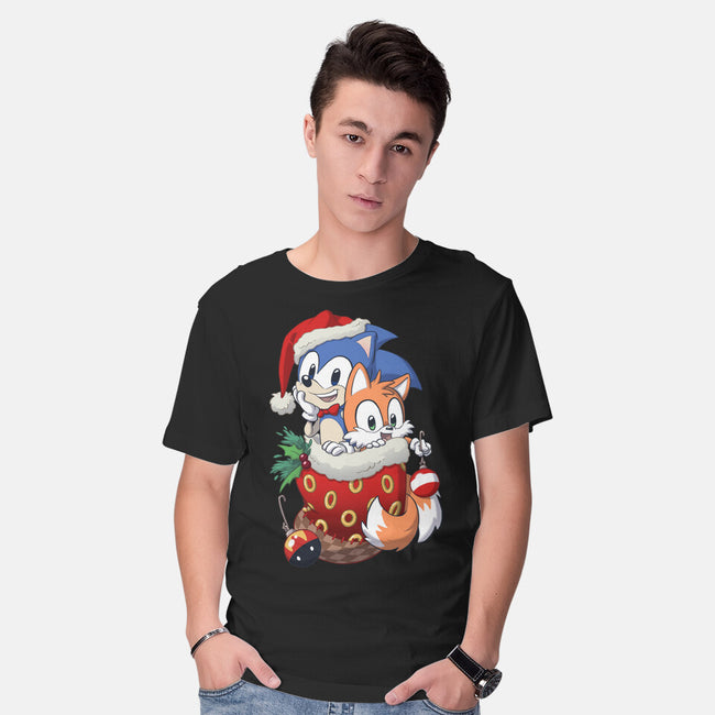 Stocking Stuffer Hedgehog-mens basic tee-DoOomcat