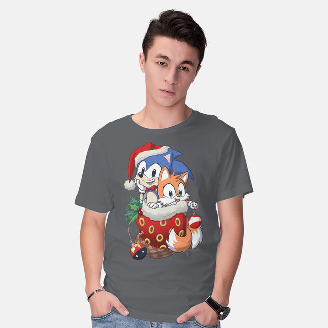 Stocking Stuffer Hedgehog-mens basic tee-DoOomcat