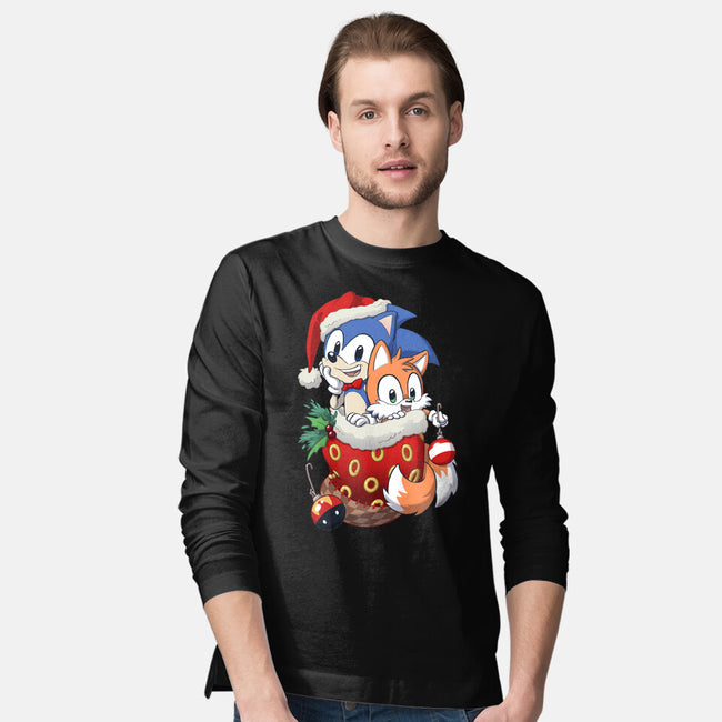 Stocking Stuffer Hedgehog-mens long sleeved tee-DoOomcat