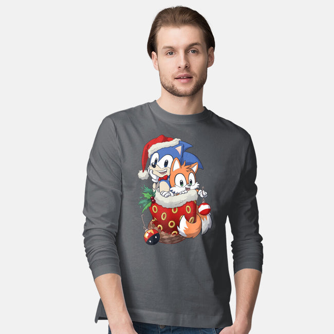 Stocking Stuffer Hedgehog-mens long sleeved tee-DoOomcat