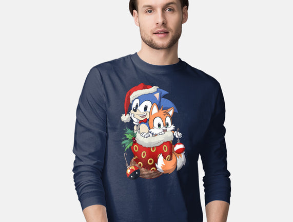 Stocking Stuffer Hedgehog