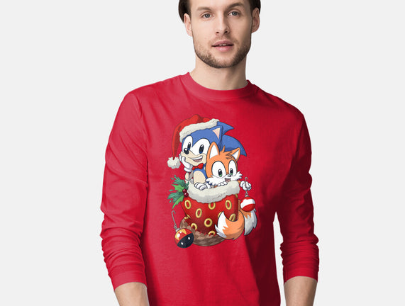 Stocking Stuffer Hedgehog