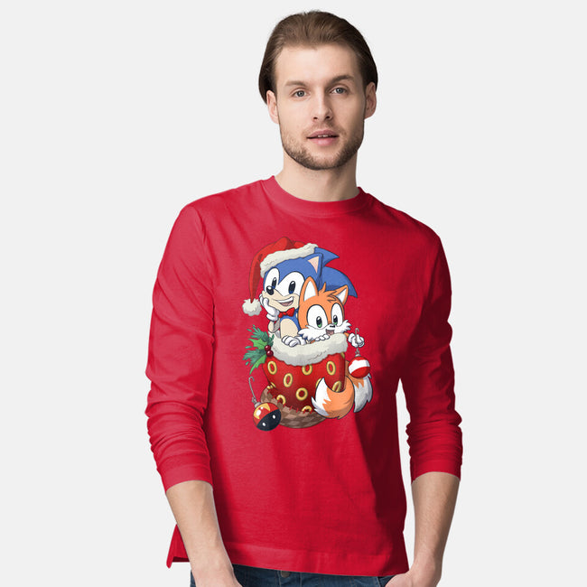 Stocking Stuffer Hedgehog-mens long sleeved tee-DoOomcat