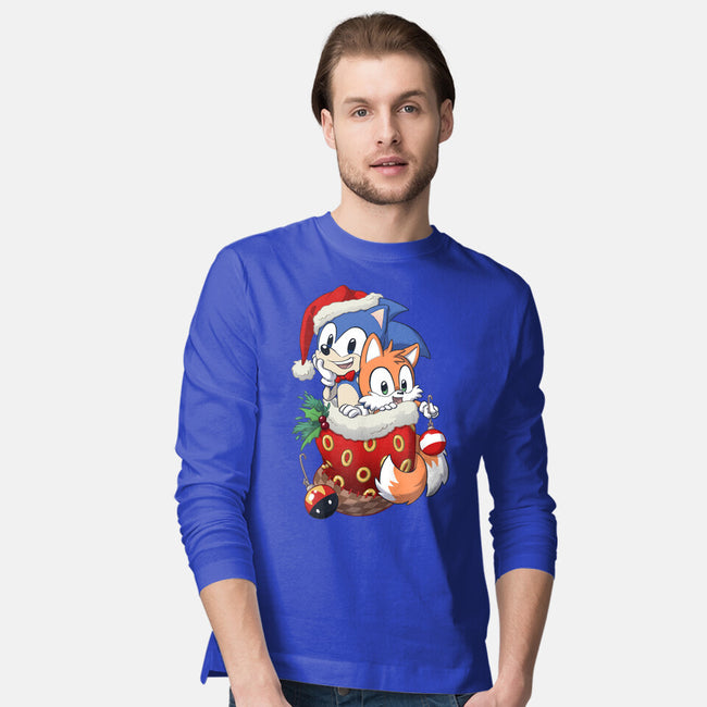 Stocking Stuffer Hedgehog-mens long sleeved tee-DoOomcat