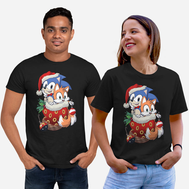 Stocking Stuffer Hedgehog-unisex basic tee-DoOomcat