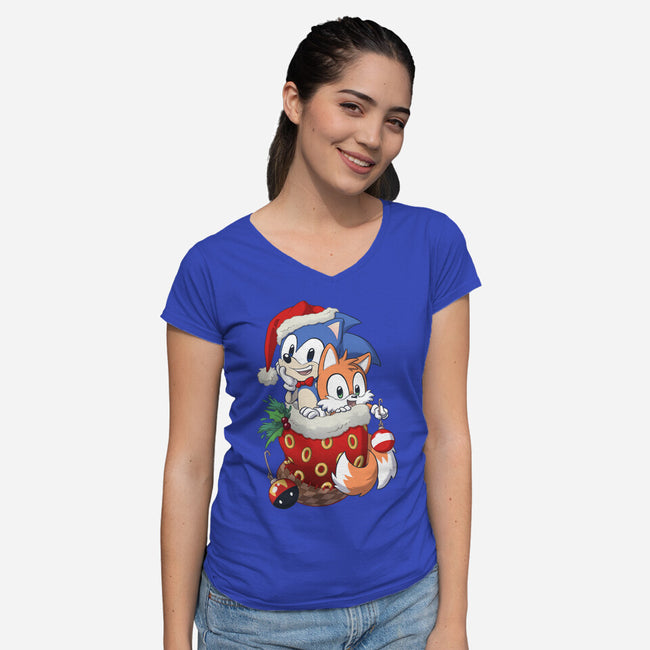 Stocking Stuffer Hedgehog-womens v-neck tee-DoOomcat