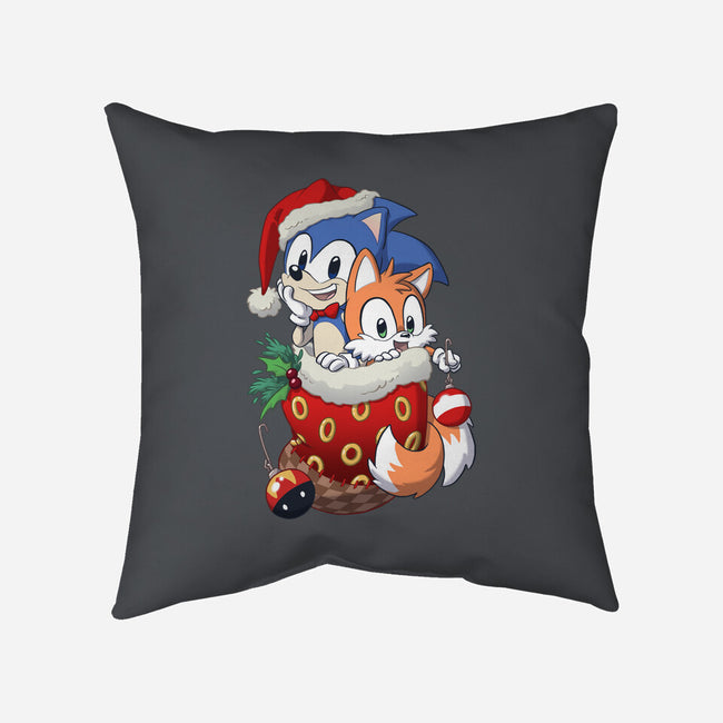 Stocking Stuffer Hedgehog-none removable cover throw pillow-DoOomcat