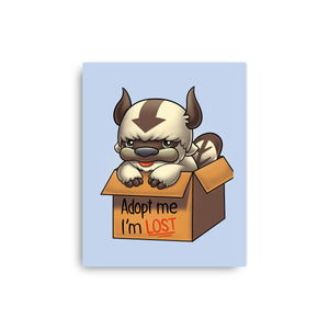 Adopt Appa