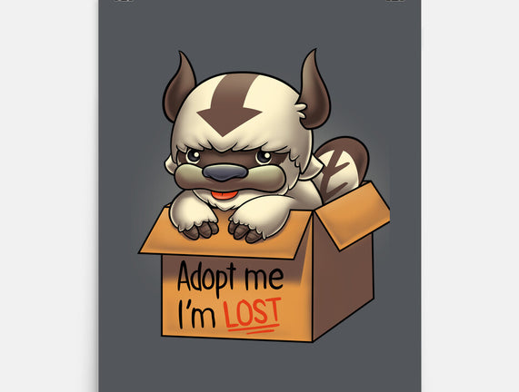 Adopt Appa