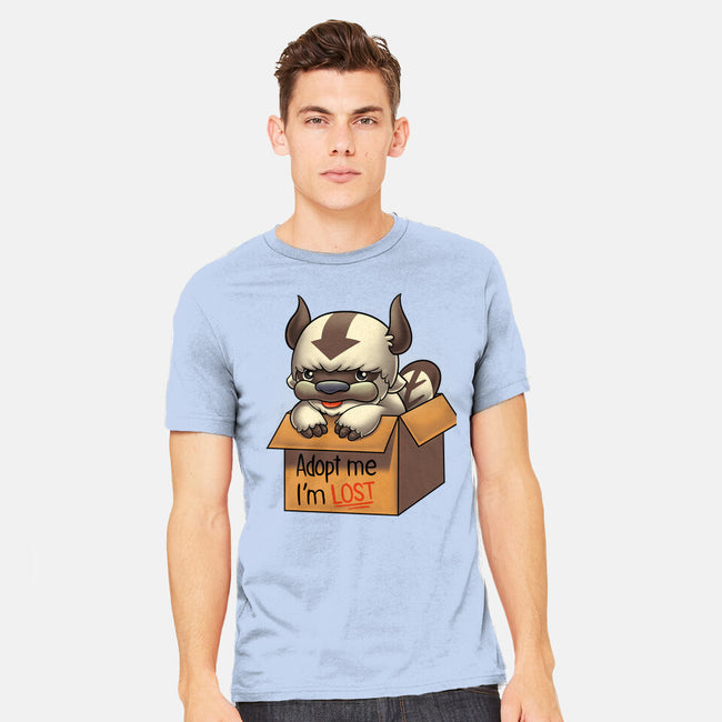 Adopt Appa-mens heavyweight tee-Typhoonic