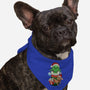 Grump-dog bandana pet collar-DoOomcat