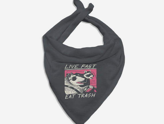 Fast Trash Life