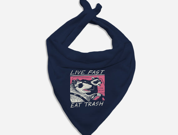 Fast Trash Life