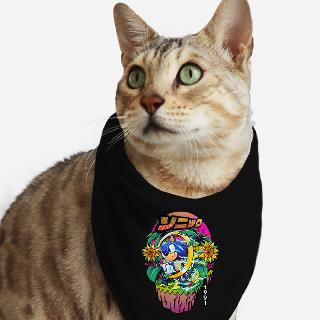 Sonic Speed-cat bandana pet collar-iqbalgarint