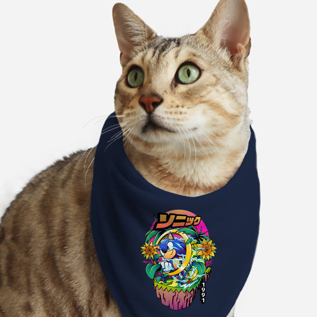 Sonic Speed-cat bandana pet collar-iqbalgarint