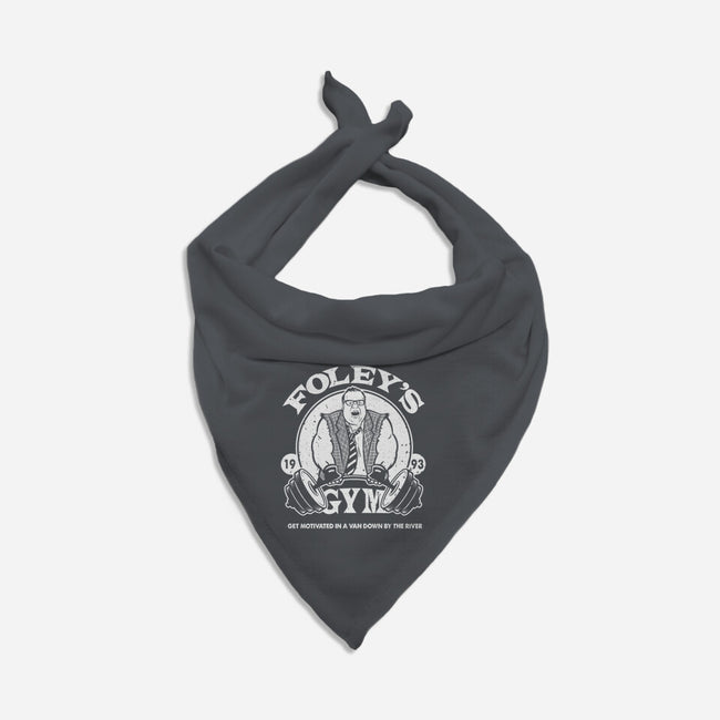 Foley's Gym-cat bandana pet collar-CoD Designs