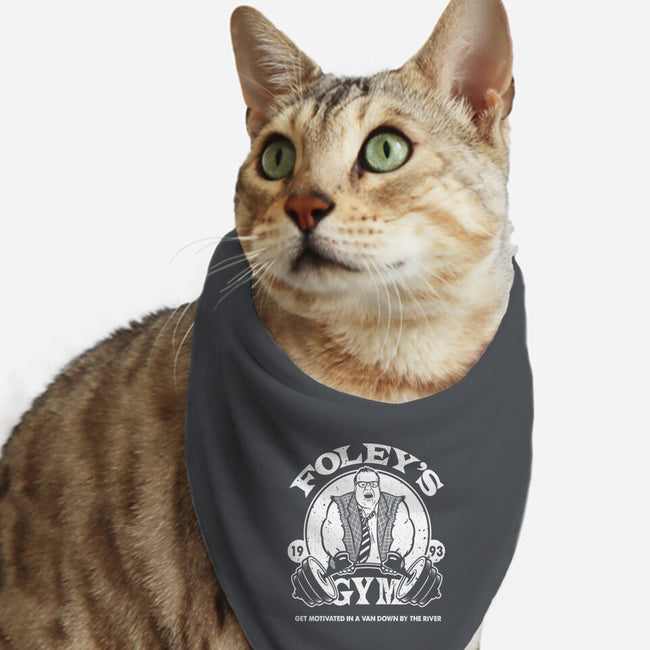 Foley's Gym-cat bandana pet collar-CoD Designs