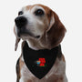 Bern-Nuts-dog adjustable pet collar-Boggs Nicolas