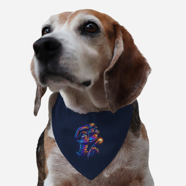 Colorful Visitor-dog adjustable pet collar-glitchygorilla