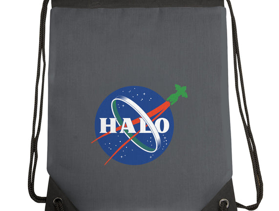 The Halo Space Agency
