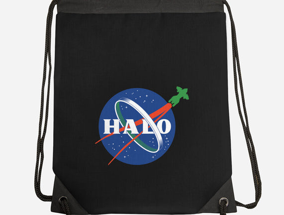 The Halo Space Agency