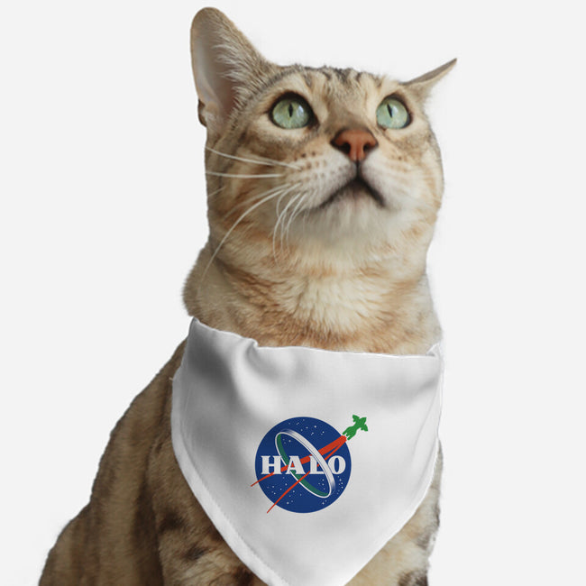 The Halo Space Agency-cat adjustable pet collar-DCLawrence
