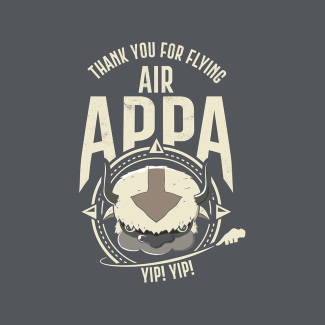 Air Appa-womens v-neck tee-Wookie Mike