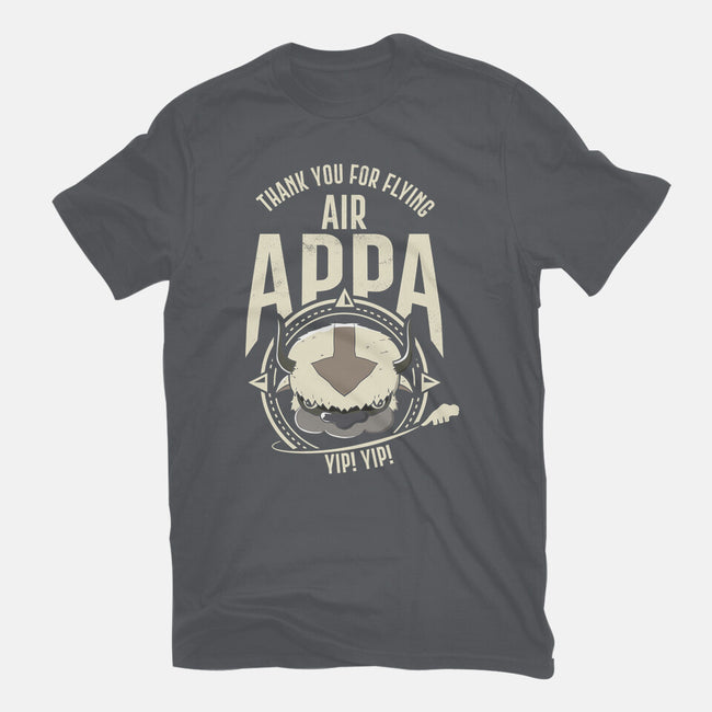 Air Appa-mens basic tee-Wookie Mike