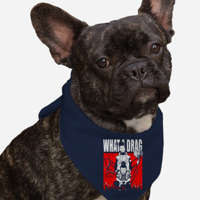 What A Drag-dog bandana pet collar-constantine2454