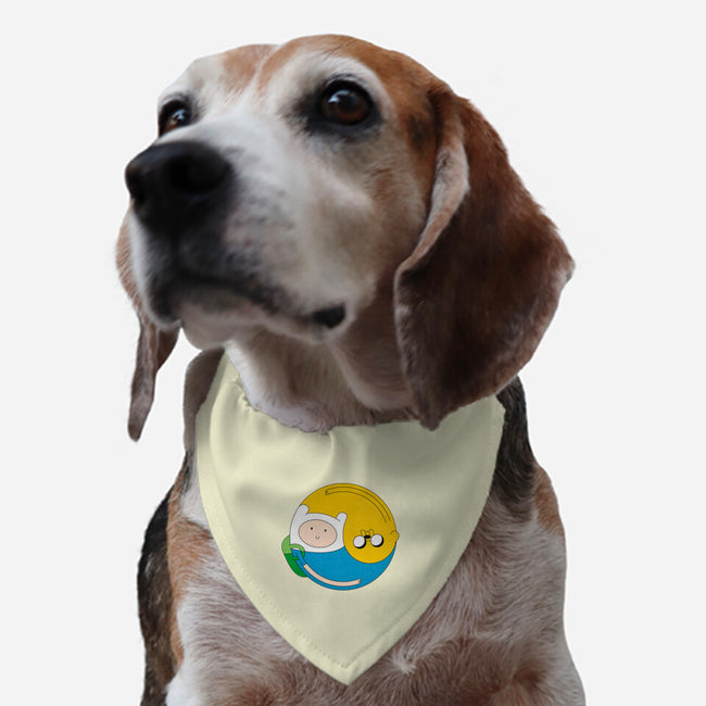 Adventurer Balance-dog adjustable pet collar-Agu Luque