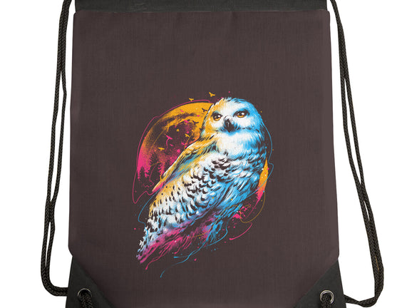 Colorful Owl