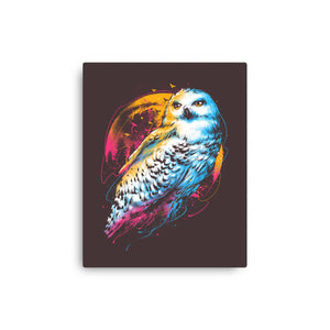 Colorful Owl