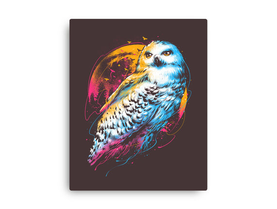 Colorful Owl