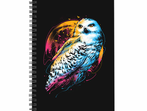 Colorful Owl