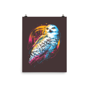 Colorful Owl