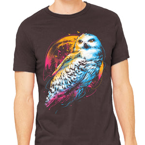 Colorful Owl