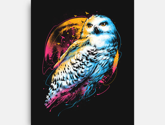 Colorful Owl