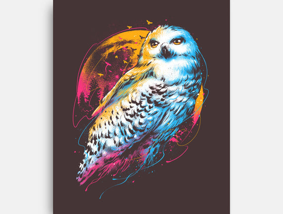 Colorful Owl