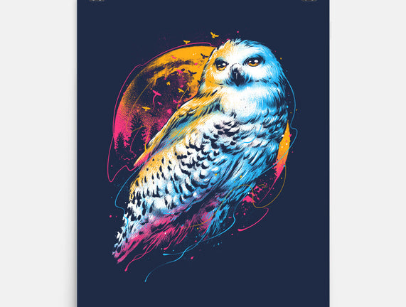 Colorful Owl